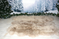 Preview: 6er Lammfell-Teppich Beige Naturbelassen XXL Riesen-Fellteppich